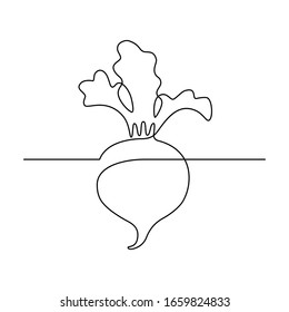 Simple beetroot design in continuous line art drawing style. Growing beet plant minimalist black linear sketch isolated on white background. Vector illustration