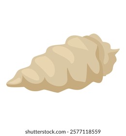 Simple beige seashell isolated on white background representing marine life and beach holidays
