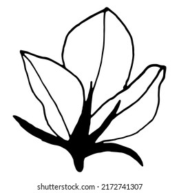 Simple Bellflower Vector Botanical Drawing. Isolated Flower And Leaves. Monochrome Bluebell Design Element. Black Wildflower On White Background.