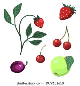 Simple berries and fruits set. Strawberry, cherry, apple, plum. Vector illustrations isolated on white. Cliparts for decor, stickers, design, card, print. Colored doodles of spring and summer harvest.