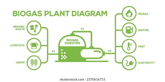 Simple Biogas Plant Diagram. Biogas Production Phases: Illustrated Educational Plan from Farming to Energy