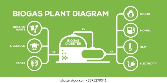 Simple Biogas Plant Diagram. Biogas Production Phases: Illustrated Educational Plan from Farming to Energy