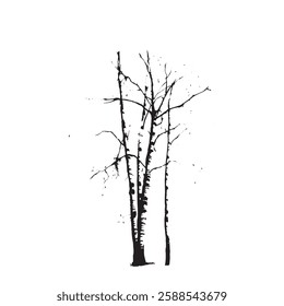 Simple Birch Tree Silhouette for Vector