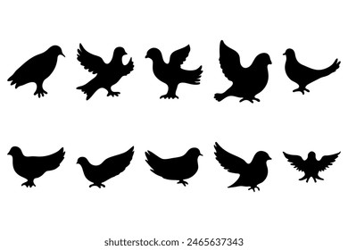 Simple bird illustration set design