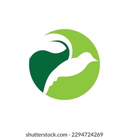 diseño de imagen simple del logotipo de las aves y del vector de símbolos