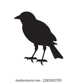 simple bird silhouette nice look pj