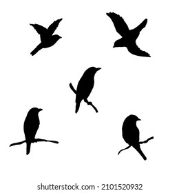 simple bird silhouettes