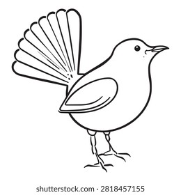 Simple bird vector drawing, fantail bird sketch, animal outline illustration, minimalist nature wildlife graphic art.