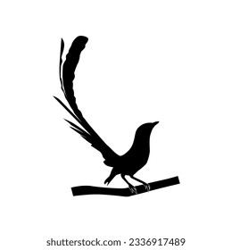 Simple bird vector silhouette model black color