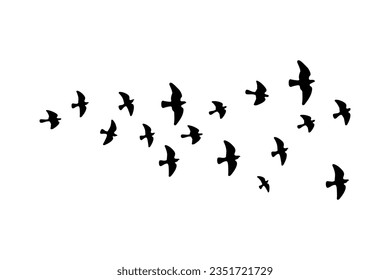 Simple birds flying illustration vector.