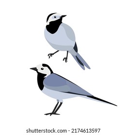 Simple Birds illustration collection vector