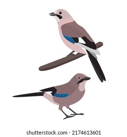 Simple Birds illustration collection vector