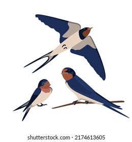 Simple Birds illustration collection vector