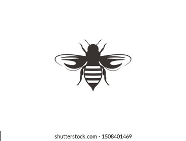 Download Similar Images, Stock Photos & Vectors of Vector engraving ...