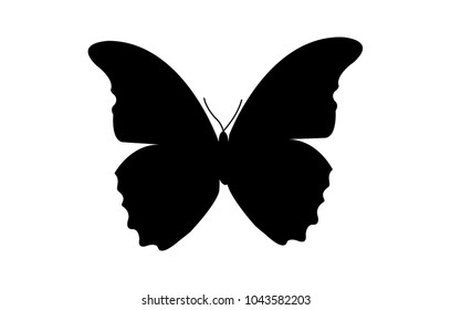 Simple, black butterfly silhouette