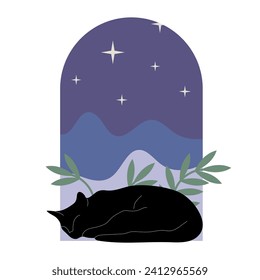 Simple black cat. Sleepy black cat. Black cat at night. Cat in arch. Isolated