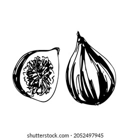 Ilustración vectorial simple de higos contorneados en negro sobre el fondo blanco. Plantilla de frutos de otoño para proyectos de diseño. Temporada de cosecha del otoño. Frutas moradas dulces y sediciosas. 