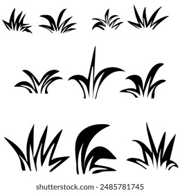 Simple Black Grasses For Decorations