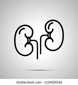 Simple black human kidneys icon with with shadow on gray