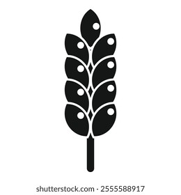 Simple black icon of a spike with grains growing on a farm field for natural food production