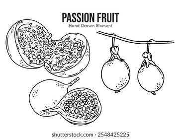 Simple black ink hand drawn design sketch of passion fruit, tropical fruit, for health, fresh, design ornament