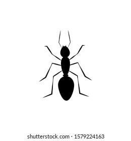 Simple black insect ant icon. Vector illustration