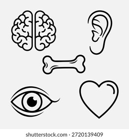 Simple black line drawings of human body parts and symbols on a white background, including brain, ear, bone, eye, and heart.