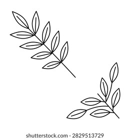Simple black line drawings of leafy branches and sprigs. Minimalist botanical illustrations featuring laurel or olive leaves. Ideal for design, patterns, and natural themes.
