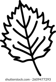 Simple Black Line Outline of a Beech Leaf Vector Silhouette Illustration