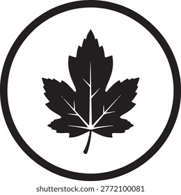 A simple black maple leaf in a circle on white, symbolizing Canada, nature, and ecology, ideal for eco-friendly and Canadian-themed projects