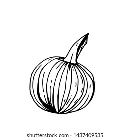 Simple black outline doodle pumpkin on white background.