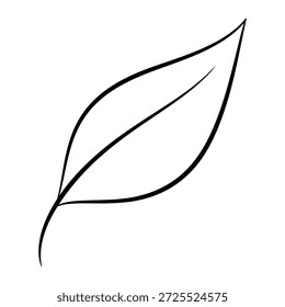 Simple contorno negro de una sola hoja con una vena en una silueta de fondo blanco minimalista