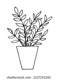 Dibujo simple del vector de contorno negro. Plantas interiores, flor en una olla, hojas. Esbozar con tinta.