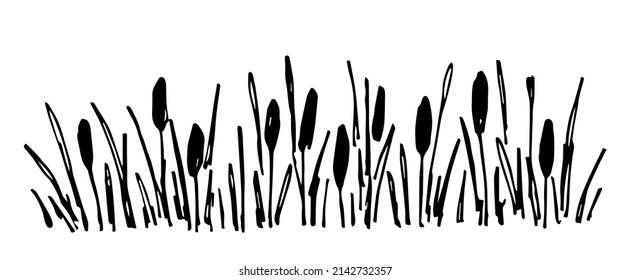 Simple black outline vector drawing  Thickets reeds  lake shore  river plants  Duck hunting 