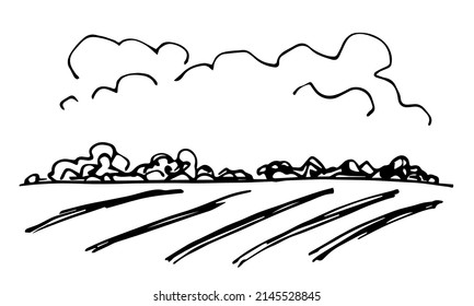 Simple black outline vector drawing. Summer landscape, farm fields, bushes on the horizon, clouds. Agricultural plants, cultivation. Sketch in ink.