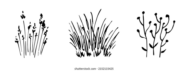 Simple black outline vector drawing. Sketch in ink. Wildflowers, grass bushes, weeds. Nature and vegetation. Landscape elements.