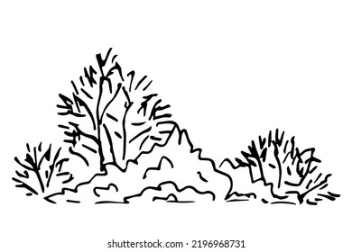 Simple Black Outline Vector Drawing. Trees Without Leaves, Bushes And Vegetation. Autumn Nature. Forest Landscape.