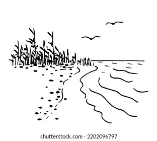 Simple black outline vector drawing. Wild beach, pebbles and sand, waves. Reeds on the lake, seagulls in the sky. Sketch in ink.