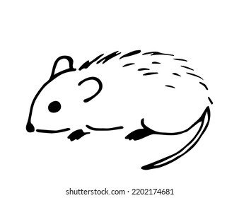 Simple black outline vector drawing. The mouse is isolated on a white background. Small rodent, pest, rat. Sketch in ink.