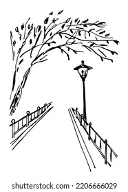 Simple Black Outline Vector Drawing. Alley In The Park, Fence, Street Lamp, Trees, Footpath. An Evening Walk. Town Landscape. Sketch In Ink.