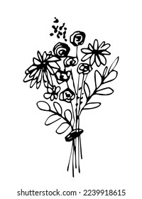 Dibujo simple del vector de contorno negro. Un ramo de flores silvestres, una camomila, una gitopófila. Esbozar con tinta.