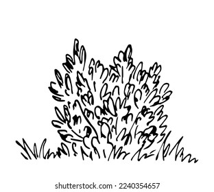Simple black outline vector drawing. Bush and grass isolated on white background. Nature and landscape. Sketch in ink.