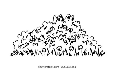 Simple black outline vector drawing. Lush bush, grass and flowers, Vegetation and trees. Nature, summer landscape. Sketch in ink.
