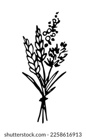 Simple black outline vector drawing. Bouquet of wild flowers, spikelets of wheat. Sketch in ink.