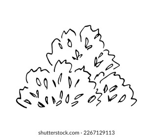 Simple black outline vector drawing. Lush bush, vegetation and trees. Nature, summer landscape. Ink sketch.