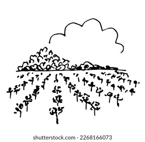 Simple black outline vector drawing. Farm fields, vineyard. Grape bushes, orchard. Growing organic plants. Sketch in ink. Cloud, place for title.