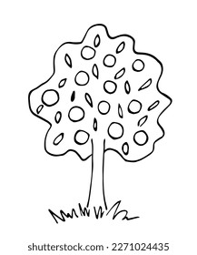 Simple black outline vector drawing. Fruit tree, apples. Orchard, nature and vegetation. Sketch in ink.