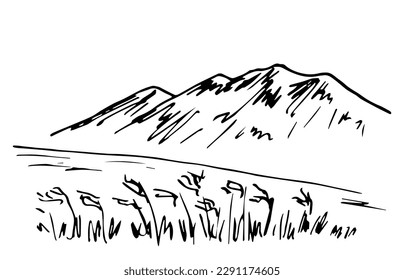 Simple black outline vector drawing. Mountain landscape, wilderness, feather grass, prairie. Sketch in ink.