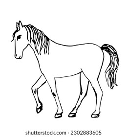 Simple black outline vector drawing. Horse in full growth, side view. Ranch, farm animals, barnyard. Sketch in ink.