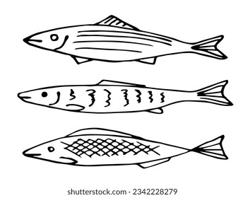 Simple black outline vector drawing. Small fish, seafood, sardines and anchovies. Sketch in ink.